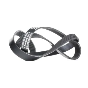 تورهای گردشگری , دره نوردی ، طبیعت گردی ، ساحل گردی و...