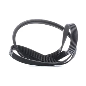 تورهای گردشگری , دره نوردی ، طبیعت گردی ، ساحل گردی و...